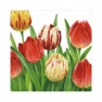 Салфетка для декупажа TULIPS WORLD white