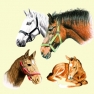 Napkin 13306185 33 x 33 cm HORSES